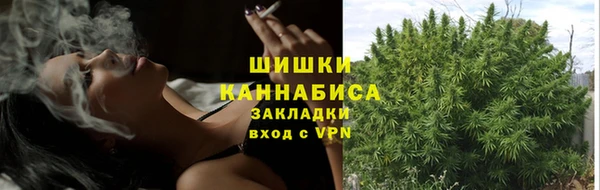 дживик Бородино