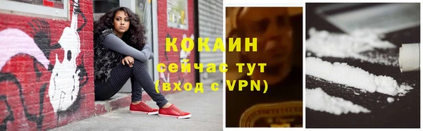 дживик Бородино