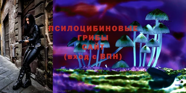 дурь Верея