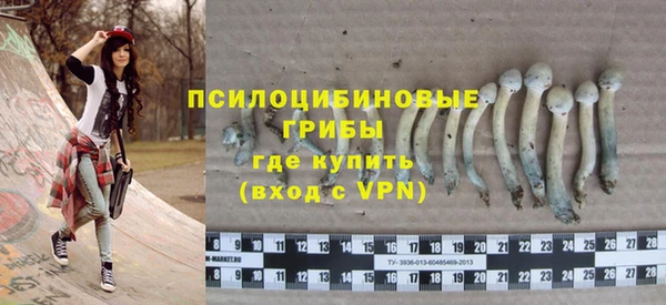 mdpv Бугульма
