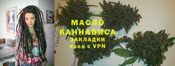 дживик Бородино