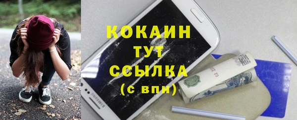 дживик Бородино