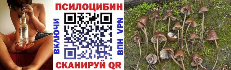 Псилоцибиновые грибы ЛСД  мега tor  Наро-Фоминск 